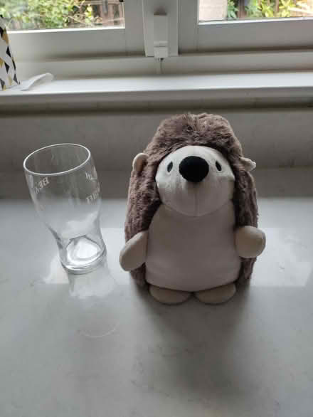 Photo of free Door Stop (South Dublin / Bray) #1