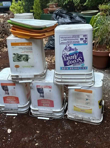 Photo of free Five Plastic Buckets (Fremont) #1