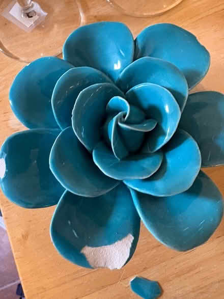 Photo of free Ceramic succulent flower (L5L 5P5) #1