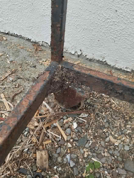 Photo of free Steps on wheels (Passage East) #4