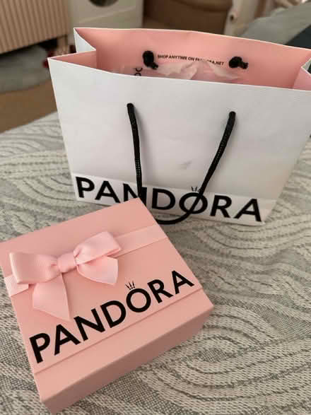 Photo of free Pandora bag and box (RG30, Reading West) #1