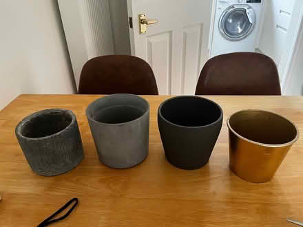 Photo of free House plant pota (Littlemore OX4 4) #1