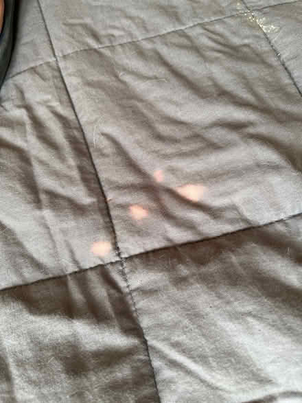 Photo of free Weighted blanket (Willen Park MK15) #3