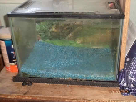 Photo of free Fish tank (Moortown LS17) #1
