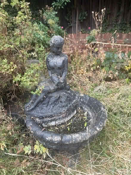 Photo of free Concrete bird bath (Sherland Street, Chesterfield) #2