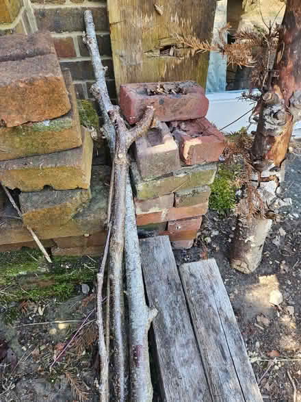 Photo of free pile of various bricks (Ringmer BN8) #2