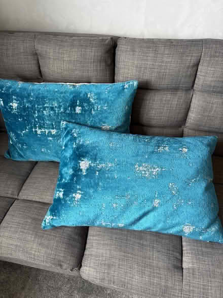 Photo of free 2 cushions (Liverpool L17) #1