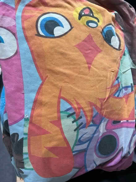 Photo of free Single Duvet Covers (Duxford CB22) #3