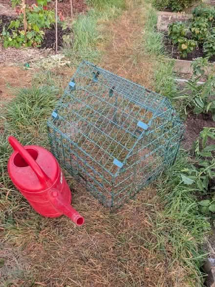 Photo of free Green wire cage (watering can only for scale). (Bear Flat BA2) #1