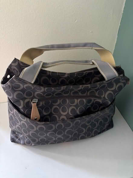 Photo of free Pregnacare+Changing bag (Plaistow E13) #1