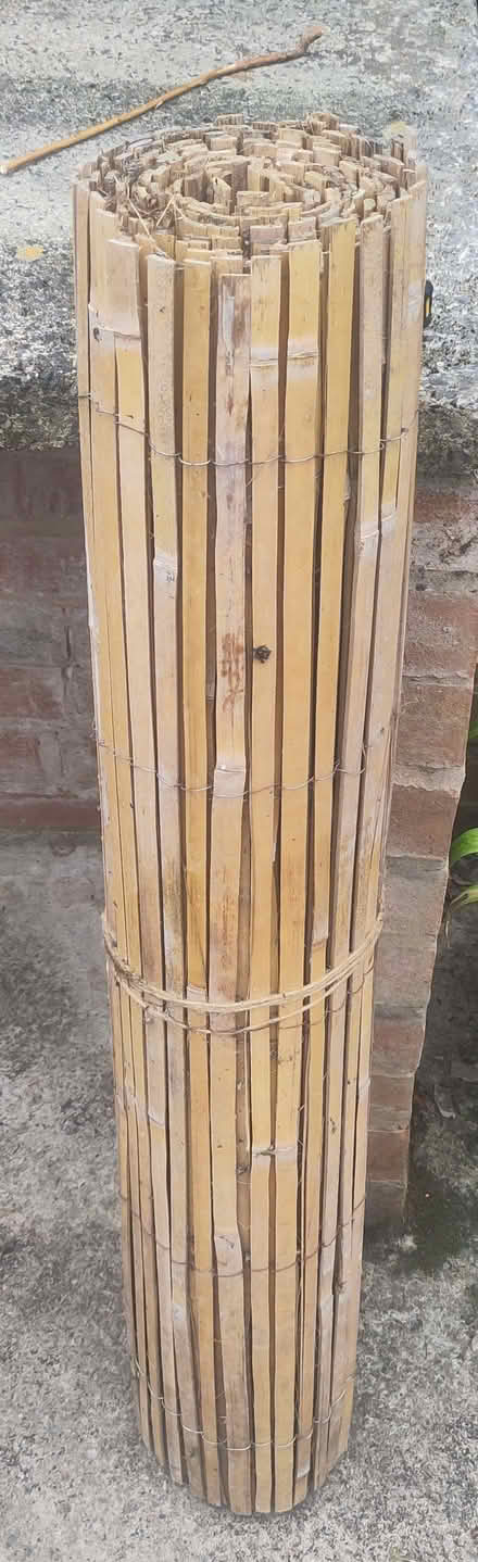 Photo of free Bamboo screening roll (Farington PR25) #1