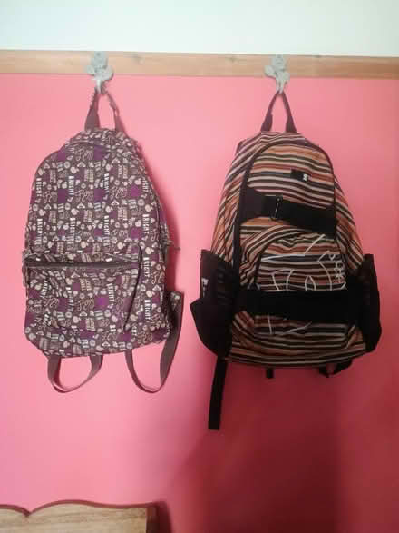Photo of free Ladies backpack bags (Devon Park MK40) #1