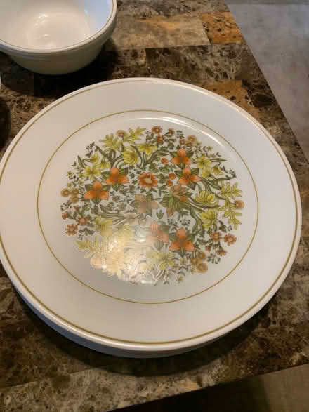 Photo of free Corelli dishes (Palmer/ware area) #2