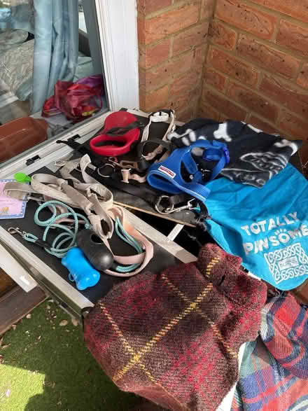 Photo of free Dog items, bed, towels, harness etc (Kents Hill MK7) #2