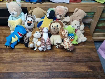Photo of free Toys, Teddies and Books (Olive Grove BD8) #1