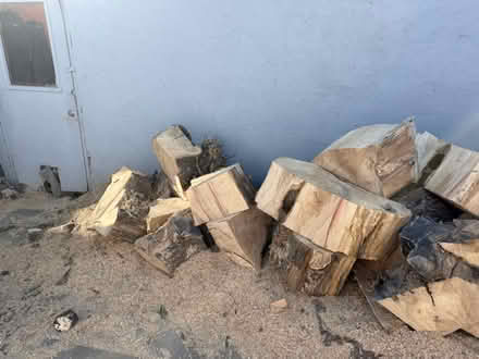 Photo of free fire wood (95111) #3