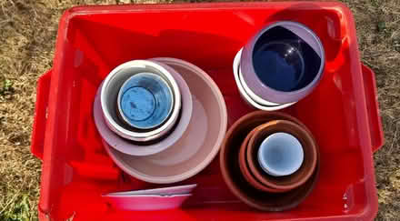 Photo of free Planters (Oswestry SY11) #2