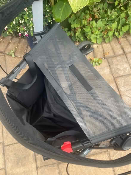 Photo of free Mobilex Buffalo Adult Waljer (Wokingham RG40) #3