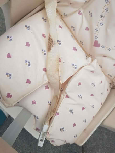 Photo of free Baby's high chair with padded seat and table (Timperley WA15) #2