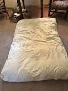 Photo of free Feather bed (Mandeville) #2