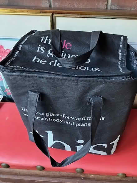 Photo of free large insulated bag (Las Palmas Pk, Snvle) #1