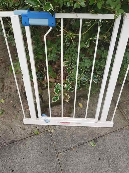 Photo of free child stair gate (Timperley WA15) #1