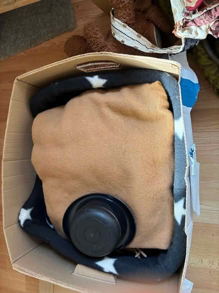 Photo of free Dog blanket and related items (Earlswood RH1) #2