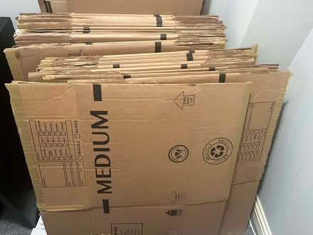 Photo of free 22 medium boxes (Park District G3) #1