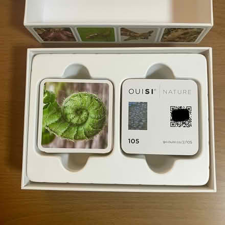 Photo of free OuiSi Nature Educational Card Game (Bay Ridge, Brooklyn) #2