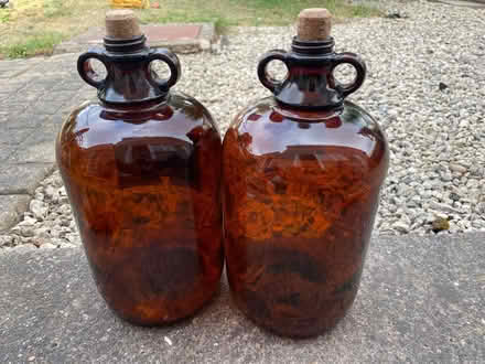 Photo of free Dark Glass Demi Johns x 2 (Norwich Nr4) #1
