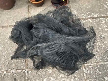 Photo of free Garden mesh to protect plants (Sidley TN40) #2