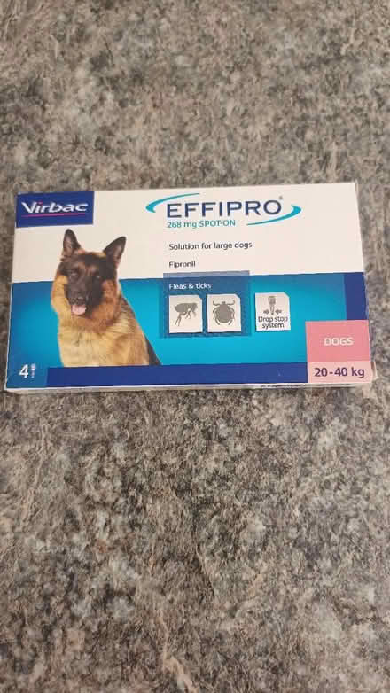 Photo of free Large dog flea and tick treatment (TQ12 5BW) #1