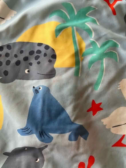 Photo of free Swim suit 9-12 months (University Area RG1) #3