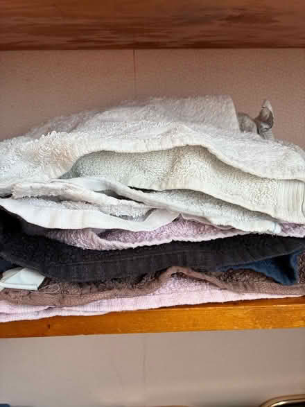 Photo of free Facecloths (Barnard's Green WR14) #1