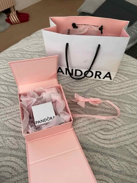 Photo of free Pandora bag and box (RG30, Reading West) #2