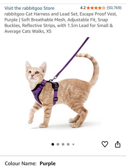 Photo of free Purple cat harness and lead (Lords Wood ME5) #1