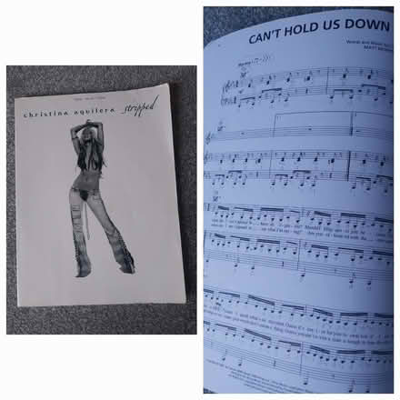 Photo of free 2 female vocalist books (New Duston NN5) #1