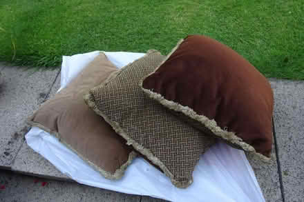 Photo of free 3 Feather filled cushions (Burnopfield NE16) #1
