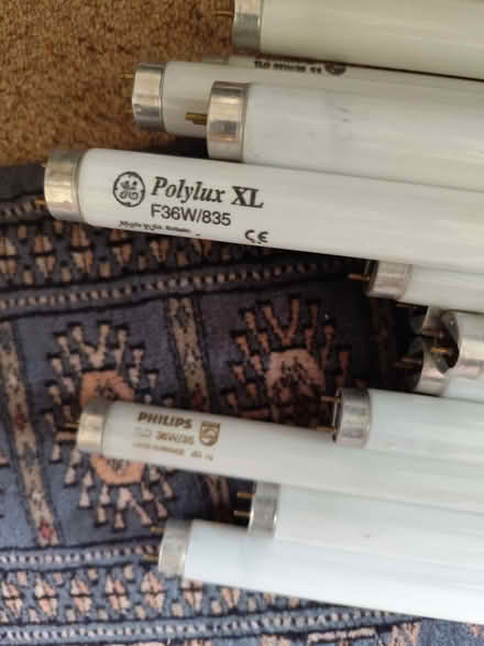 Photo of free Trad 4ft fluorescent tubes (Gidea Park RM11) #2