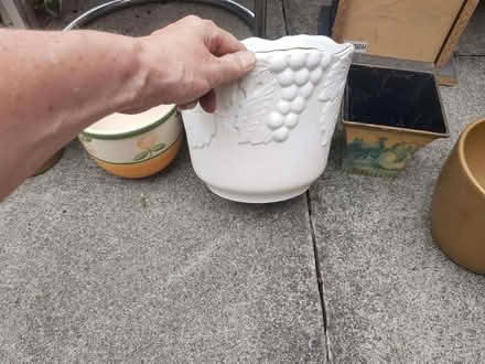 Photo of free Set of mixed flower pots (Timperley WA15) #2