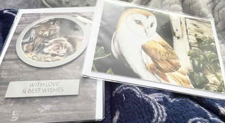 Photo of free Occasion cards (BS6 6DR) #4