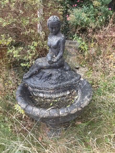 Photo of free Concrete bird bath (Sherland Street, Chesterfield) #3
