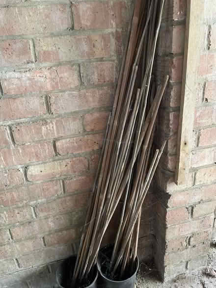 Photo of free Garden stakes and wood offcuts (West Blatchington BN3) #1