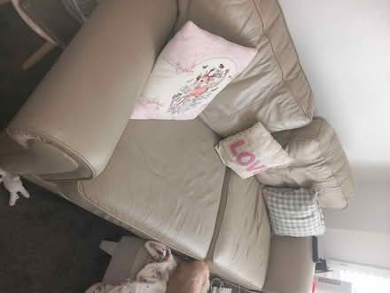 Photo of free X2 genuine leather sofas (Hadleigh SS7) #1
