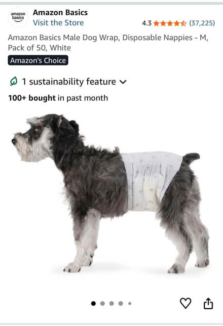 Photo of free 28 male dog nappies size medium (Lords Wood ME5) #1