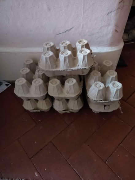 Photo of free Empty egg boxes (Stirchley/Selly Park B30/B29) #1
