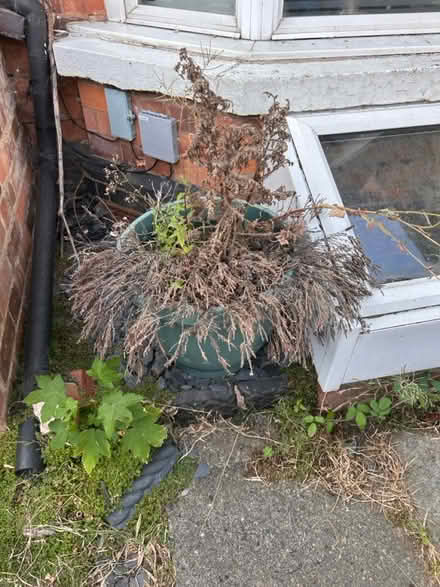 Photo of free Greenhouse, planters (WR2 St John’s) #1