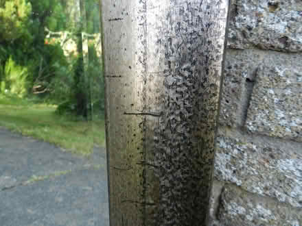 Photo of free Mirror - framed (Doune FK16) #2