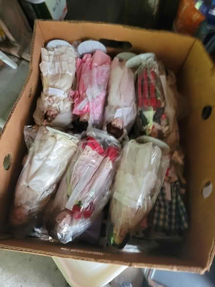 Photo of free Dolls (Huntington MA) #3