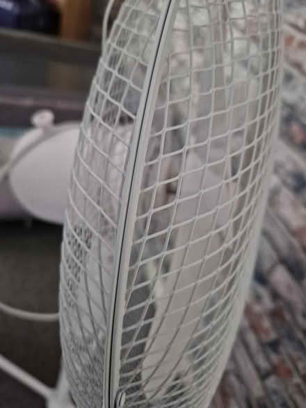 Photo of free Tall fan (Erdington B24) #2